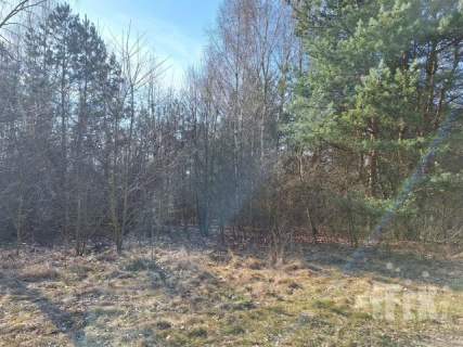 Działka budowlana na sprzedaż, 3000 m2, Lisna