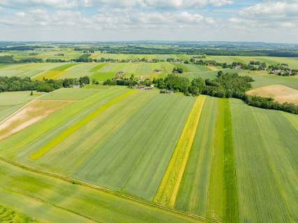 Sielska nieruchomość w otoczeniu natury 2,20 HA