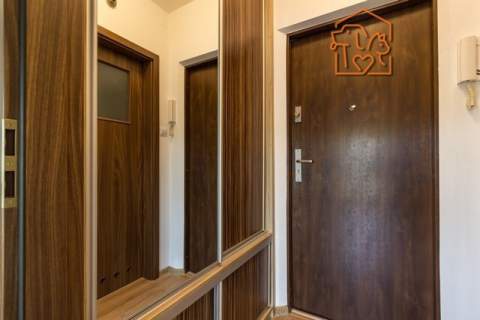 Duża kawalerka pet-friendly - Ksawerów 23