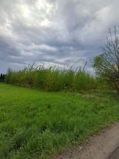 Działka rolna o pow. 1769 m2, Chełmce gm. Opatówek