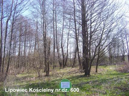 Urocza działka Lipowiec Kościelny