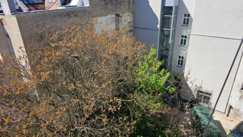 67m2 RYNEK Wrocław 5 minut spacerem CENTRUM Św. Antoniego