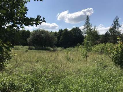 Atrakcyjna działka budowlana w Leleszkach nad Jezi