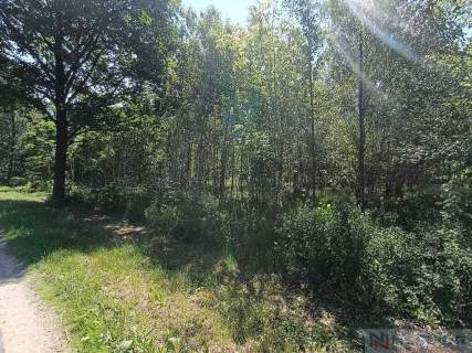 Działki budowlane z warunkami zabudowy 130zł/m2