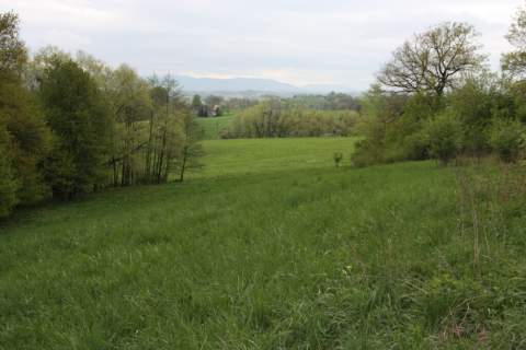 Przetarg - obręb geodezyjny Ogrodzona