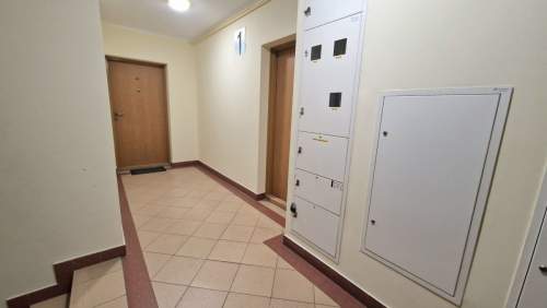 Mieszkanie na wynajem 2 pokoje ul.Antoniukowska