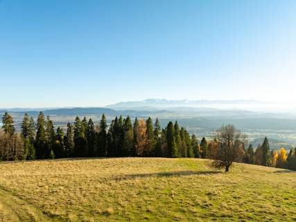 Działka z widokiem na Tatry   Knurów, 71 arów