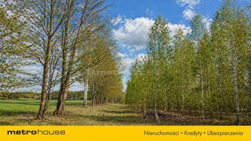 Działka budowlana,3000m2,pozwolenie,k.Skierniewice