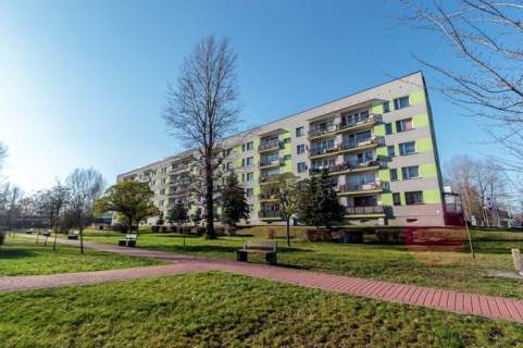 Jasna kawalerka z balkonem- 11 Listopada 9