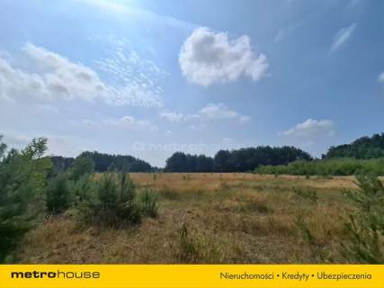 Działka 2,8ha w Dolinie Baryczy Wilkowo