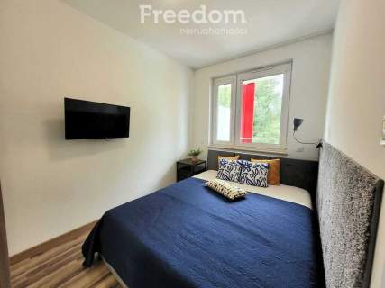 Do wynajęcia apartament w centrum miasta