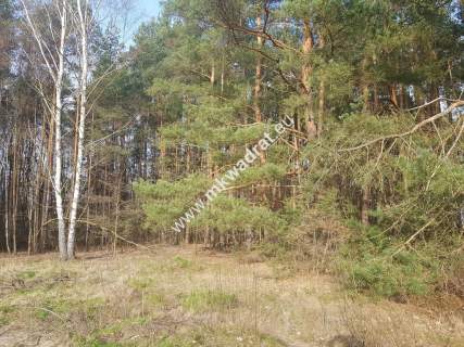  2500 m2 urokliwa działka przy lesie z MPZP 