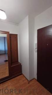 Kawalerka na Pradze-Północ