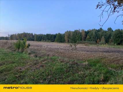 Działka rolna o pow. 6150 m2 - Kośminy