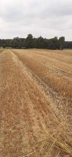 Działka 1,67 ha rolno-inwestycyjna w Lututowie