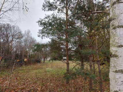 Przetarg - Kalisz ul. Osadnicza