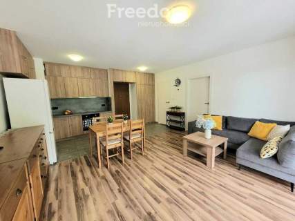 Do wynajęcia apartament w centrum miasta