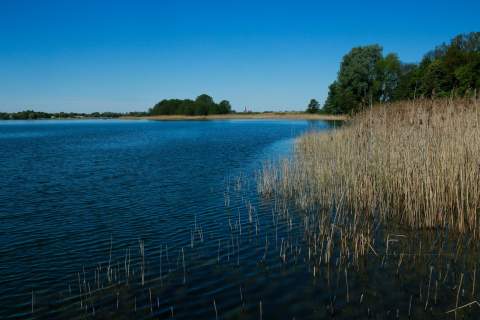 Działka z linią brzegową
