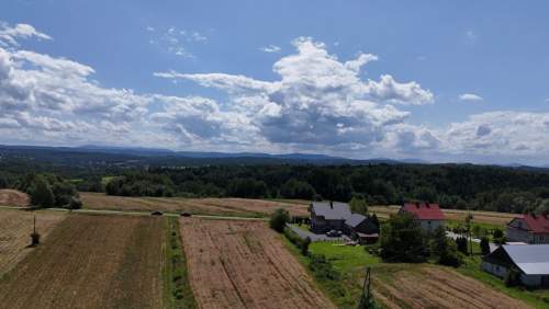Dom wśród lasu obok Brzeska