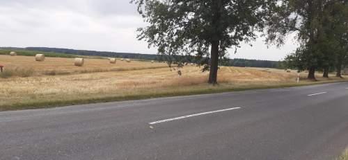 Działka 1,67 ha rolno-inwestycyjna w Lututowie