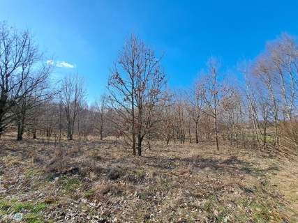 Widokowa działka - stadnina koni, agroturystyka