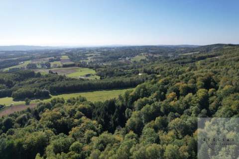 Działka po starym siedlisku 1,67 ha z lasem