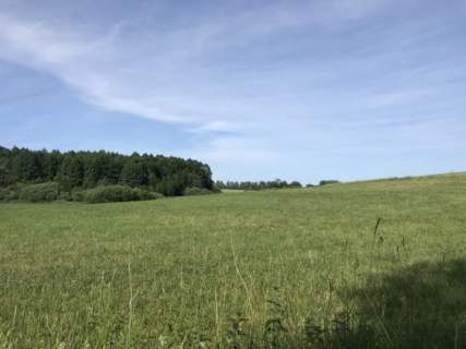 Działki z Warunkami Zabudowy przy lesie Michałki