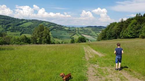 Działka budowlana na sprzedaż, 734599,99 m2, Konradów