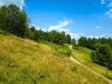 Działka rekreacyjna przy lesie, 3571 m2, cisza