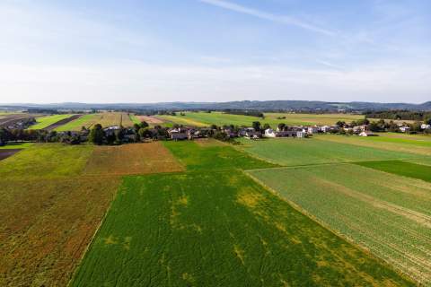 Lgota Wolbromska Gospodarstwo Rolne Stadnina