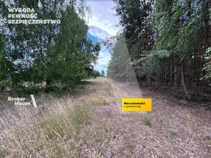 Działka na sprzedaż, 2800 m2, Wiejca