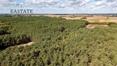 Działka leśno rolna o powierzchni 1.35ha