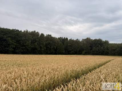 Duża działka z WZ - wiele możliwości