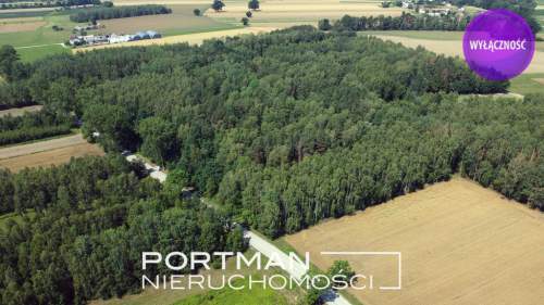 Działka w Dobrzyńcu 15 200 m2