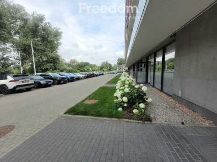Do wynajęcia apartament w centrum miasta