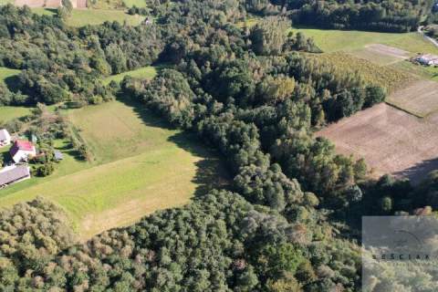 Działka po starym siedlisku 1,67 ha z lasem