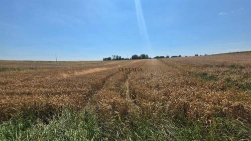Działka budowlano rolna Zagórowa gm.Trzyciąż