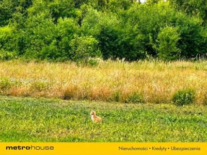 Atrakcyjna działka 1100 m2 z potencjałem