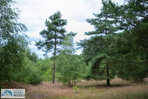Wyjątkowa, otoczona lasem, z WZ nawet na 4 domy
