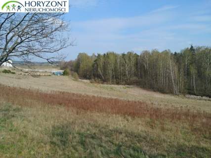 Żukowo- Glincz działka