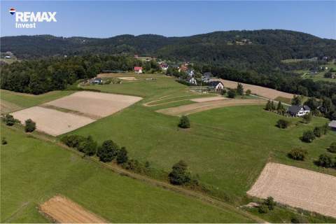 Prywatny las 3331 m2 - Twoja przestrzeń w naturze