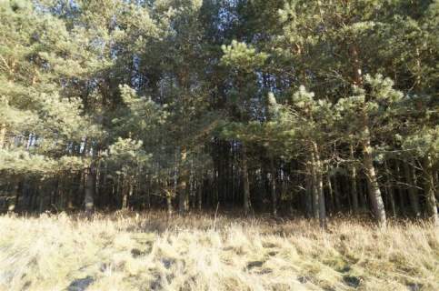 Działka na sprzedaż, 24200 m2, Biała Piska