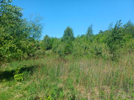 Działka 7656 m2