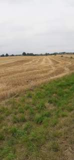 Działka 1,67 ha rolno-inwestycyjna w Lututowie