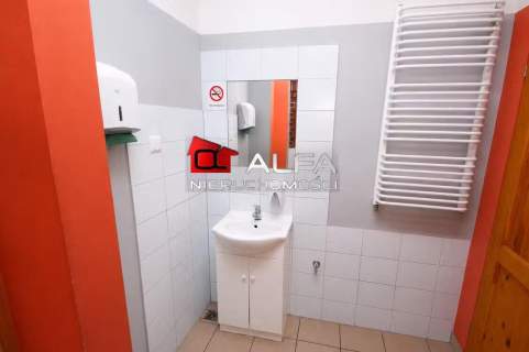 Lokal użytkowy do wynajęcia, 320 m2, Świdnica