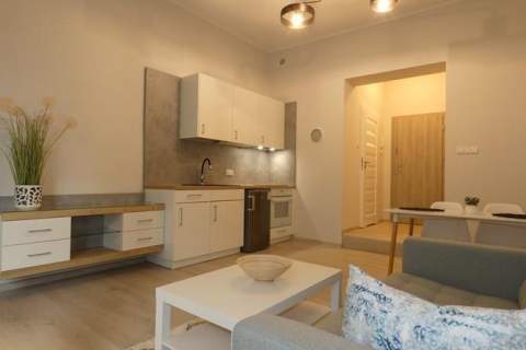 Duża kawalerka, 32 m2, WiFI - Traugutta 75