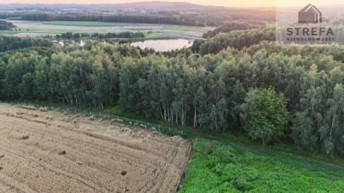 Działka 55,04 ara bezpośrednio przy Zalewie Skrzyszowskim - pod...