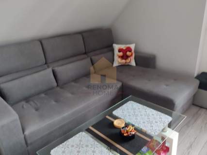 kamienica/piwnica/ogródek