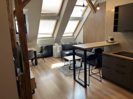 LOFT W ZABYTKOWYM BROWARZE - wyjątkowe, bez pośrednika