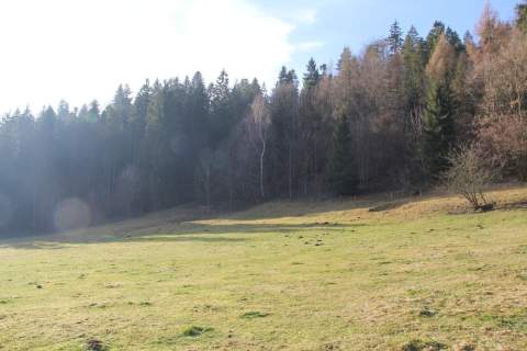 Działka budowlano - rolna w miejscowości Grywałd